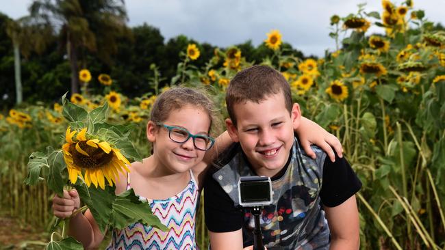 Charlie (5) and Finn (9) Ricks snap a selfie at The Farm and Co Kingscliff sunflowers paddock. Photo: Steve Holland