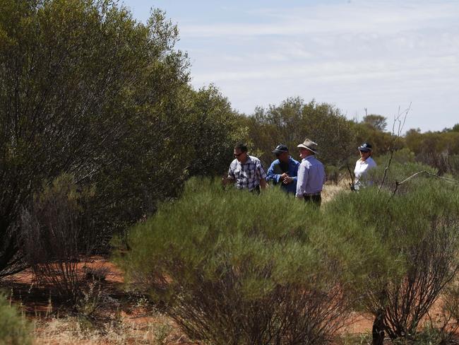 Forensic officers inspecting the site where Ms Woodford’s body was found. Picture: Simon Cross