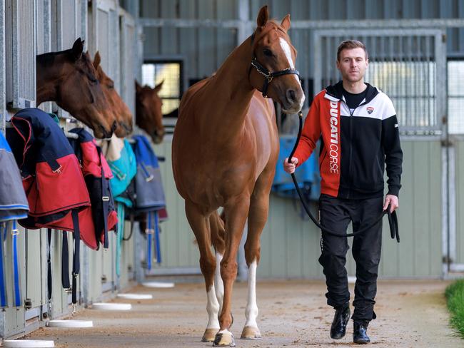 2022 The Everest winning trainer Clayton Douglas with Giga Kick at his Mornington stables. Picture: David Geraghty