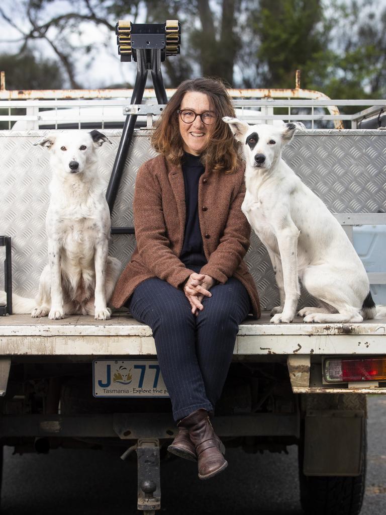 Carmen Blyth says training, strategy and luck are the secrets to her success at the Working Sheep Dog State Championships. Picture: Richard Jupe