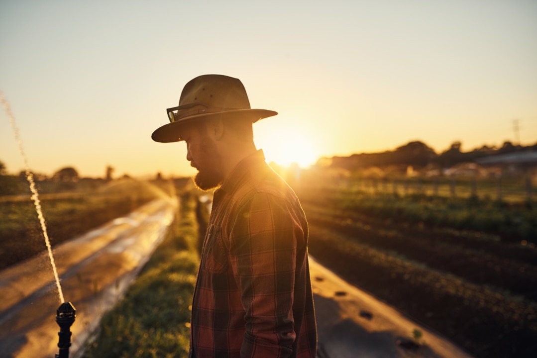 Estimated three million Australians living with anxiety and depression