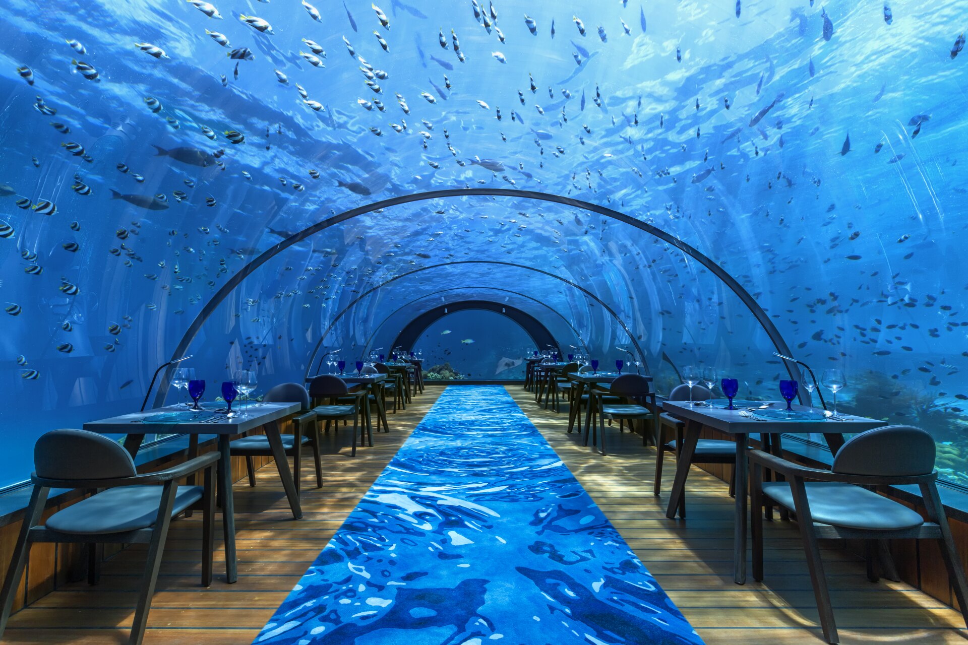 Красивые поды. 5.8 Undersea подводный ресторан Мальдивы. Hurawalhi Island Resort 5 Мальдивы. Подводная вилла в Conrad Maldives Rangali Island 5*. Ресторан Ithaa Undersea Мальдивы.