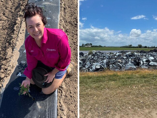 Plan to help Qld farms tackle major plastic issue