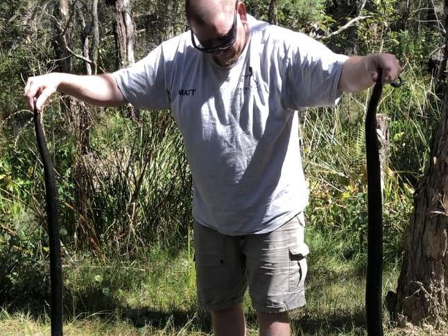 Matthew Stopford from the Central Coast Snake Catchers.