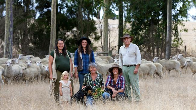 The family is seeing multiple benefits from their extensive long-term revegetation project. Picture: Andy Rogers