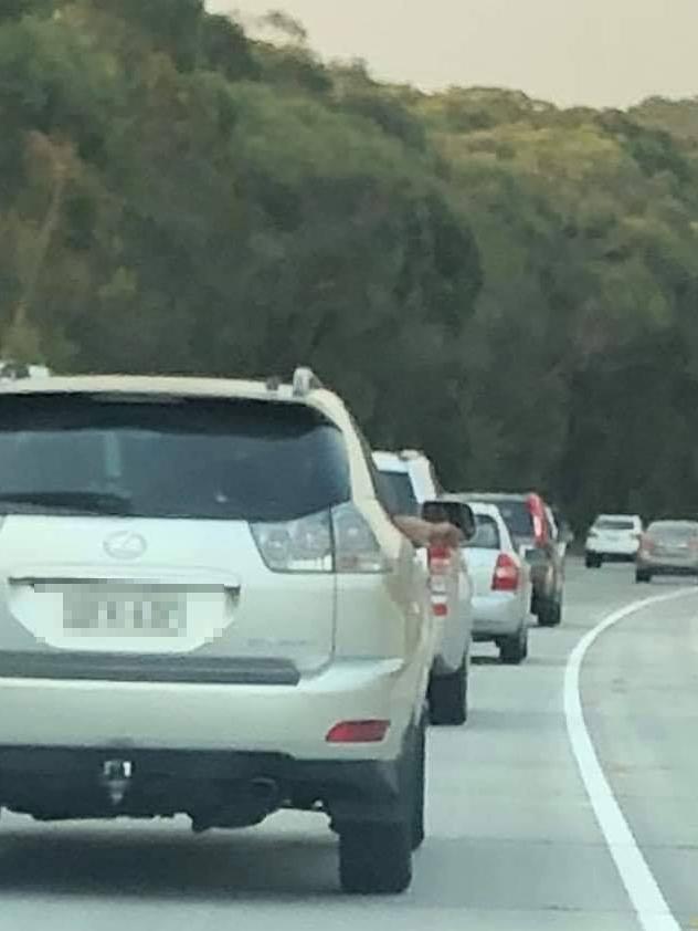 Another Sydney driver was caught flicking a cigarette from their car while driving on the M1 in Somersby. Picture: Facebook