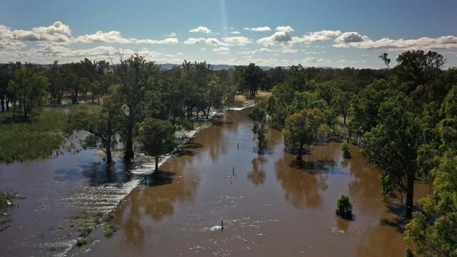 Water levels are expected to peak in Forbes on Wednesday. Picture: Gary Ramage