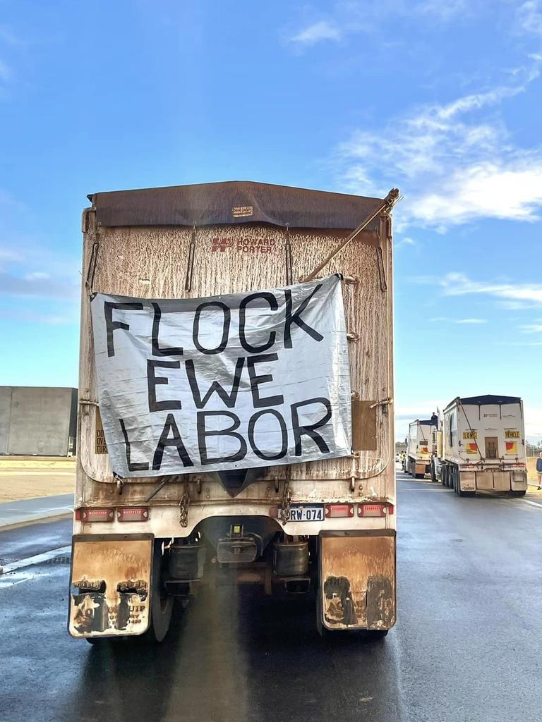 The Senate passed laws on Monday night banning live sheep exports, effective by May 2028. Picture: Lara Jensen