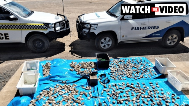 Huge fisheries bust on Yorke Peninsula as 806 undersized abalone discovered