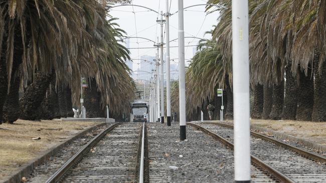 Essendon palm trees could be renamed after community heroes under a new council plan.