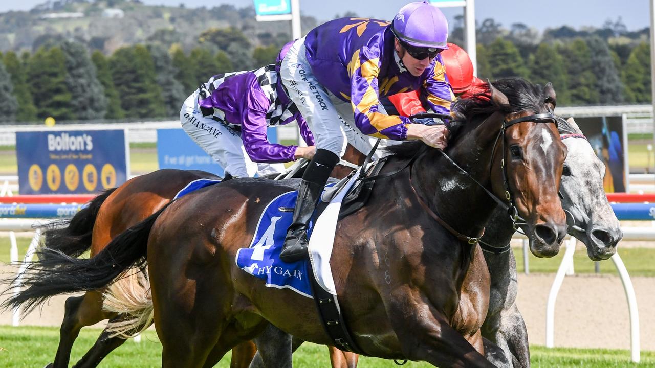 Horse racing tips Geelong Cup best bets, preview with Brad Waters