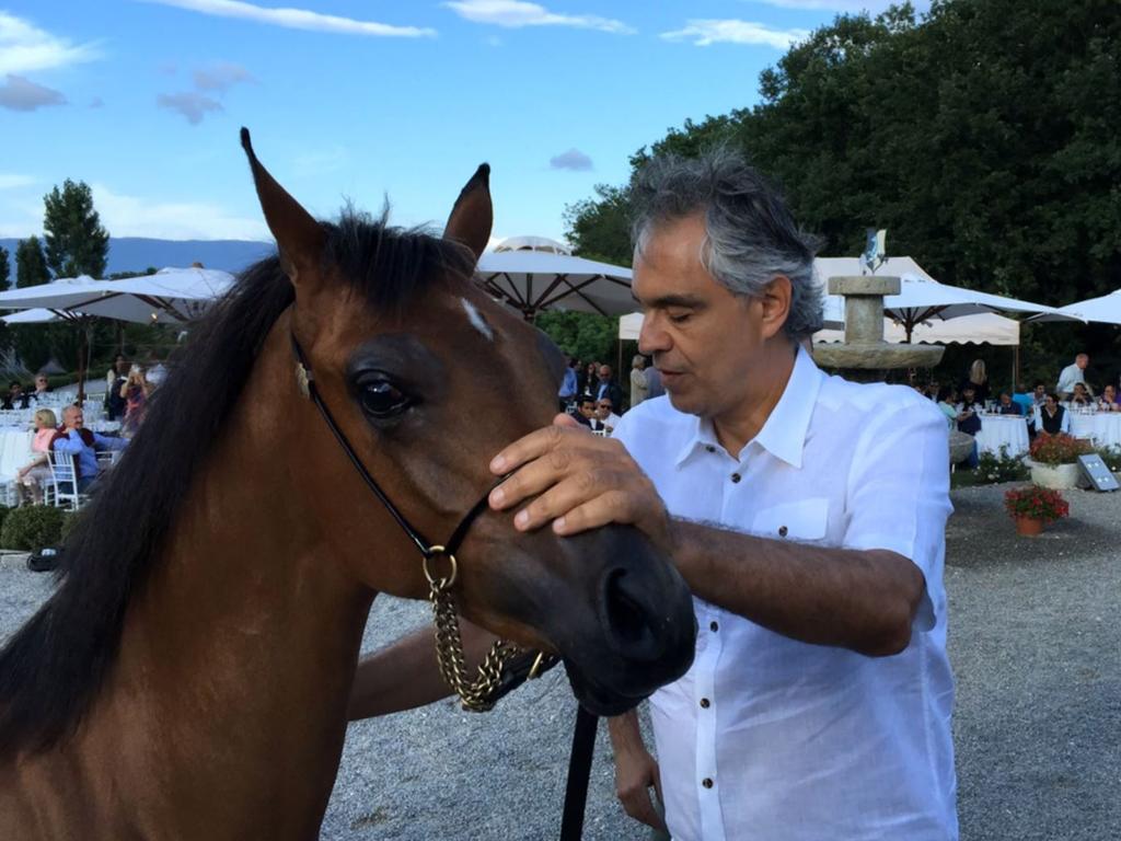 Andrea Bocelli with the horse given to him by Jeff McGlinn. Picture: Supplied