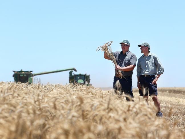 Farmer of the year finalists, cropping farmer of the year finalists John Gladigau & RobinSchaefer, Bulla Burra, Alawoona, SA, Picture Yuri Kouzmin