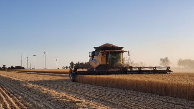 VFF president David Jochinke shares his farm photos.