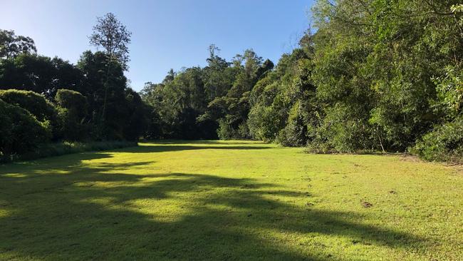 There were at least two large, green fields along the easement. Picture: Amanda Robbemond