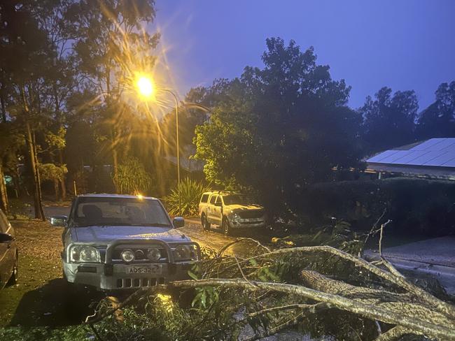 The damaged tree just missed flattening the car. Picture: Nikki Todd.