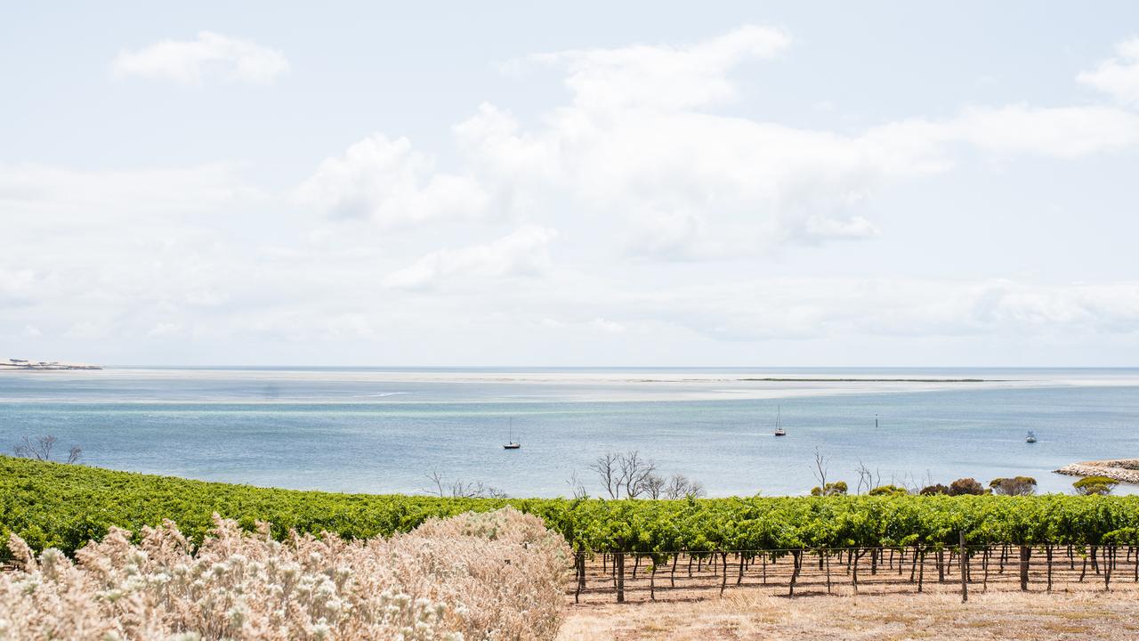 Bay of Shoals Wines on Kangaroo Island. Picture: Meaghan Coles