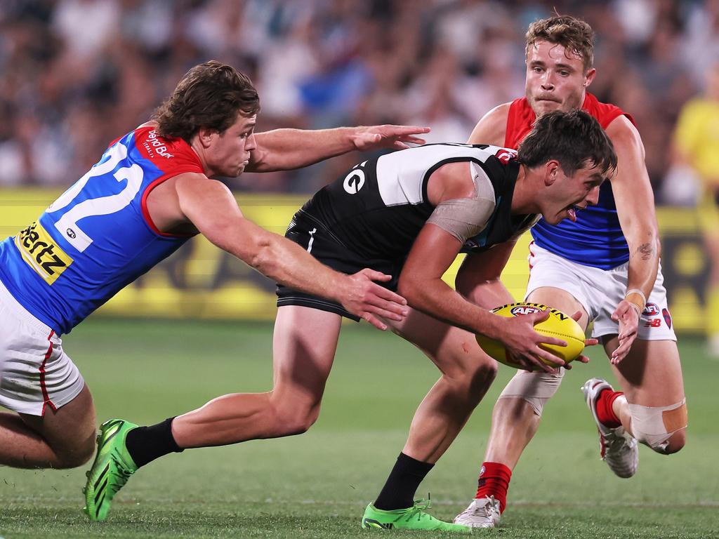 Tom Sparrow and Kade Chandler try to slow Port star Zak Butters. Picture: James Elsby/AFL Photos