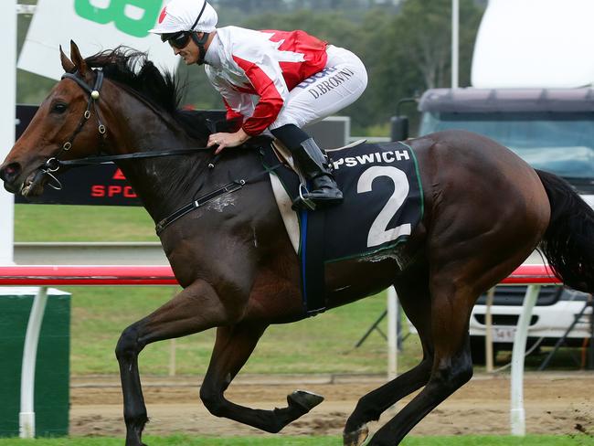 Race 6, winner No.2 Maurus, jockey Damian Browne, Ipswich Cup Day, Ipswich Turf Club. Photographer: Liam Kidston.