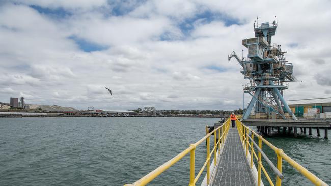 Geelong’s port. Picture: Brad Fleet