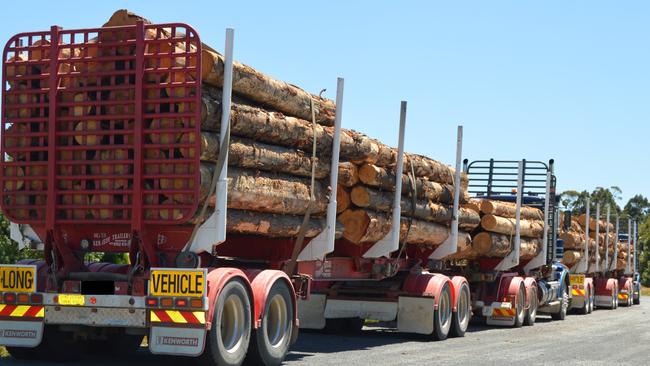 Kempsey woman Julia Cole made up a false timber log supplier called ‘Kay Coler’ to draw 15 payments from Hurford Hardwood.