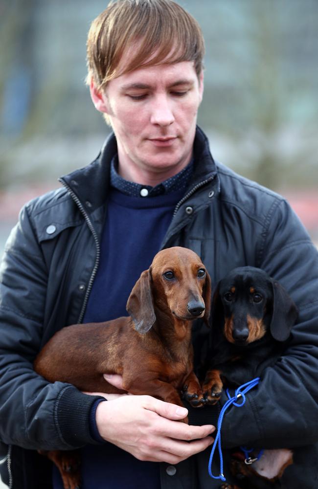 Two dachshunds with their man. Picture: Carl Court/Getty Images.