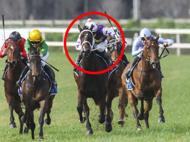 Kitsilano (circled), pictured running third behind She's All Sass at Muswellbrook two starts back, can break through for a deserved victory at Kempsey on Tuesday. Picture: Bradley Photos