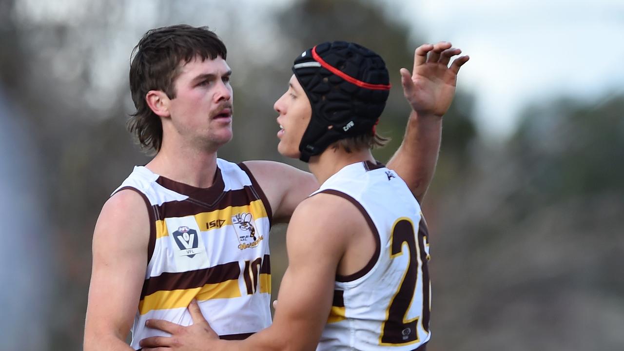 The Aspley Hornets have withdrawn from the VFL. Picture: Steve Tanner