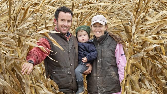 FOCUS: Cameron Sandral cropping farmerPICTURED: Cameron Sandral cropping farmer with 17 month old son Harvey and partner Bridget Thomas in their Pioneer corn crop with Red Heeler dog named Midge on farm at Savernake NSW. Picture: Zoe Phillips