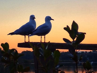 SOCIAL MEDIA IMAGE DISCUSS USE WITH YOUR EDITOR - Bronwyn Hawkes with another great shot, this time of the sunset over the Nambucca River.