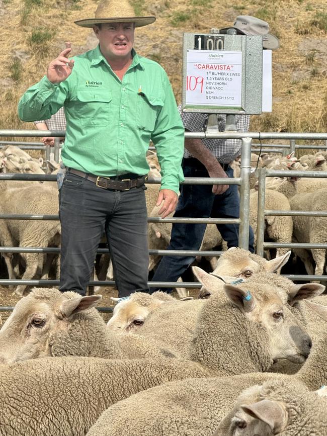 Rick Smith taking bids at the Casterton sheep sale.