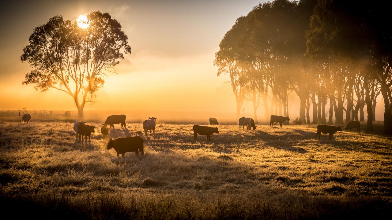 The company uses organic bovine hides that would have otherwise gone to landfill.