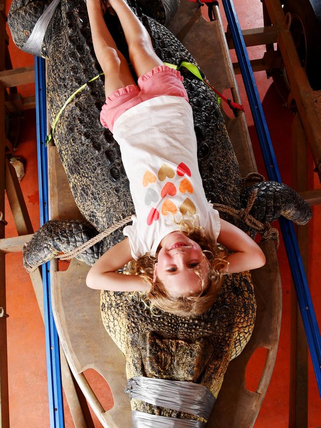 2017: Amelia Cross, 6, gets cozy with a saltwater crocodile before he is moved into a new pen at Crocodylus Park. Picture: Elise Derwin