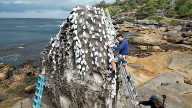 Sculptures by the Sea’s A Bed of Oysters, by Sydney based artists Sophie Lanigan and Max Volfneuk