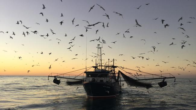 Trawler in the Gulf of Carpentaria. Picture: Robbie Phillips