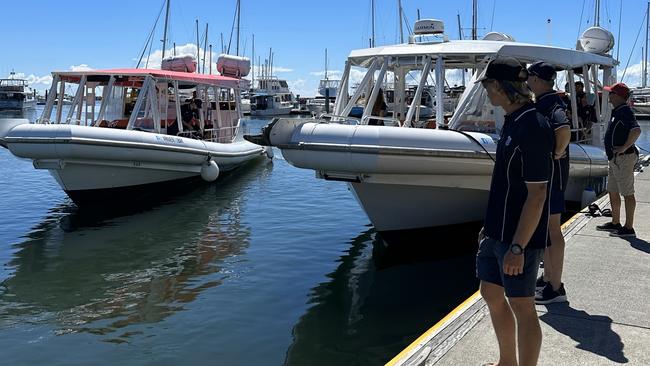 River to Bay boats at the Manly Harbour waiting to take passengers to Straddie. Picture: Contributed