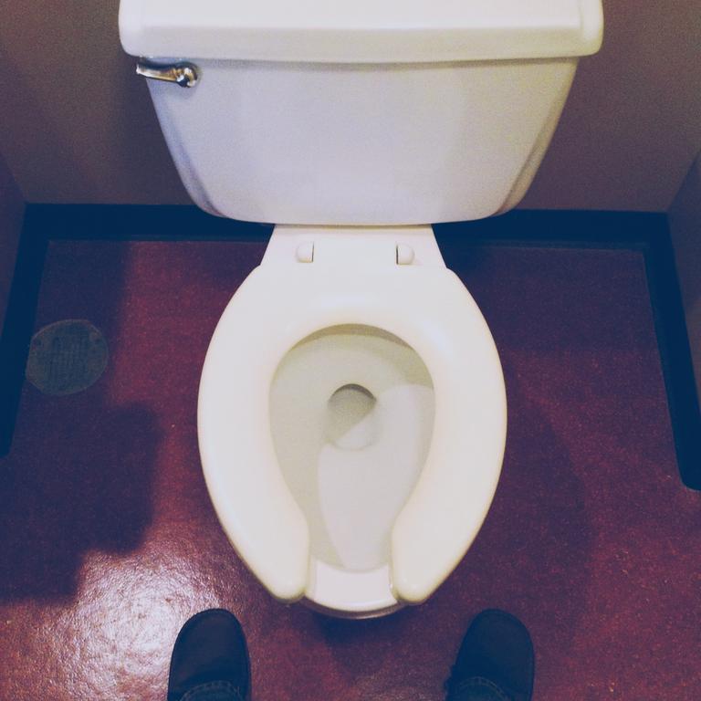 The reason why toilet seats are U-shaped in public bathrooms but aren't at  home – and it's to do with hygiene – The US Sun