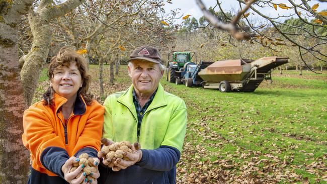 Philip and Patty Farnell are wrapping up walnut harvest on their Wallace farm. Picture: Zoe Phillips