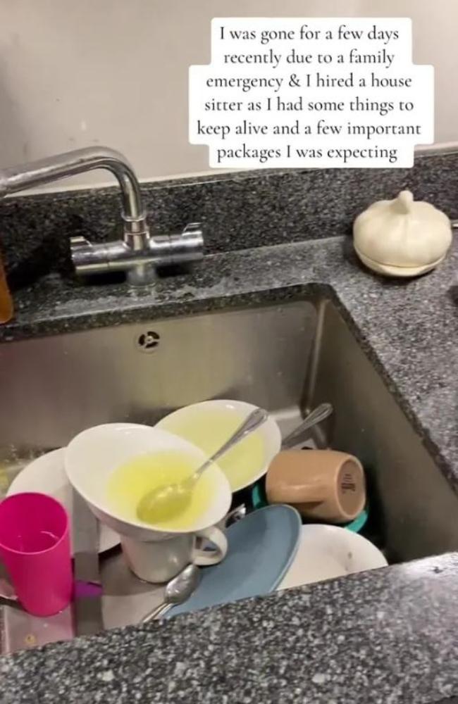 The sink was piled high with dishes. Picture: tiktok/@moncristina0