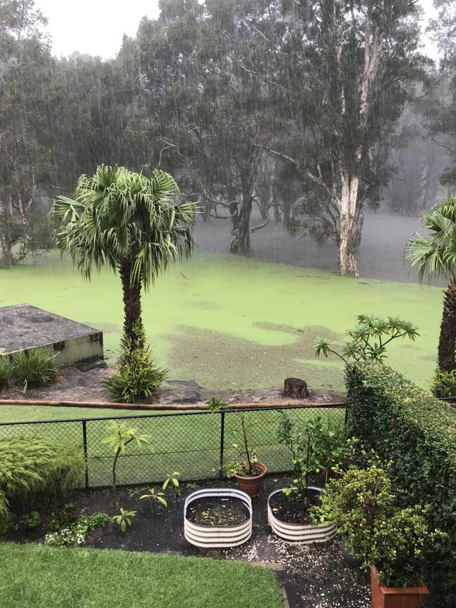 Susan Green’s back of her Nelson Bay home as water crept closer. Picture: supplied.