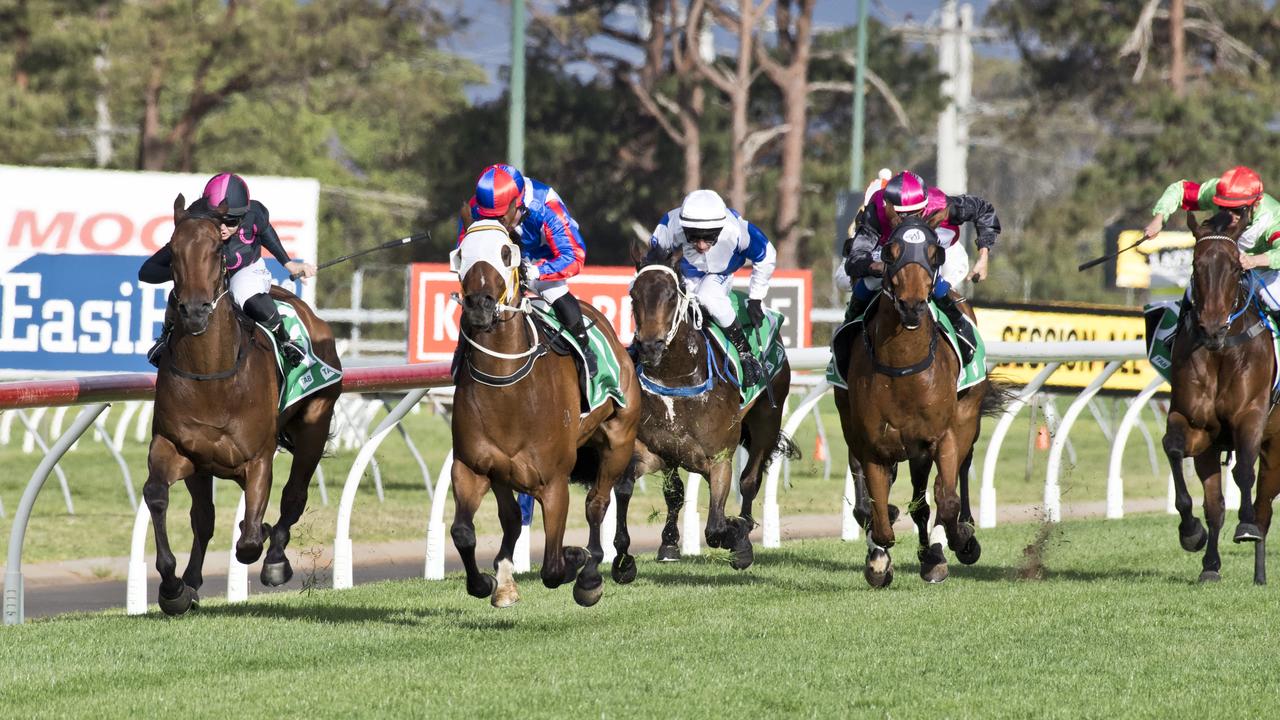 Simply Splashing and Josh Oliver (outside) loom alongside Scherzare before going on to win yesterday’s Class 4 Handicap at Clifford Park. Picture: Nev Madsen.