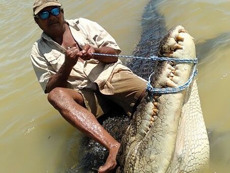 James De Santis with the whopper of a croc that he and his son Harry de Santis Yunupingu caught and removed on the Tiwi Islands. Picture: Supplied