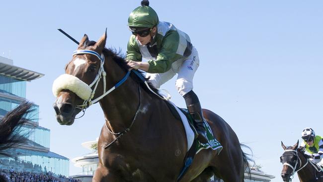 Spanish Mission has been named topweight for the Melbourne Cup. Picture: Vince Caligiuri-Getty Images