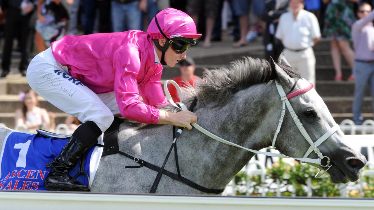 Photographer: Simon Bullard. Race 4 ASCEND SALES TROPHIES EMANCIPATION STAKES (3YO&UP F&M) - 1500m. Winner 'Catkins' ridden by James McDonald.