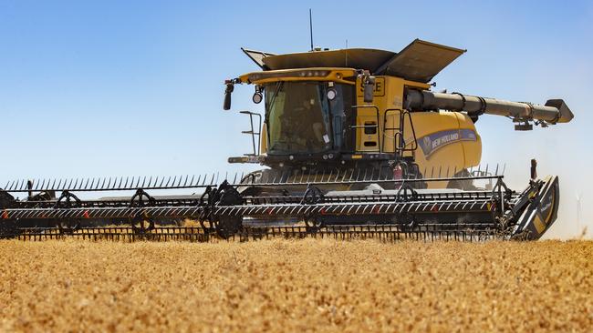 Lentil harvesting in Victoria. Picture: Zoe Phillips