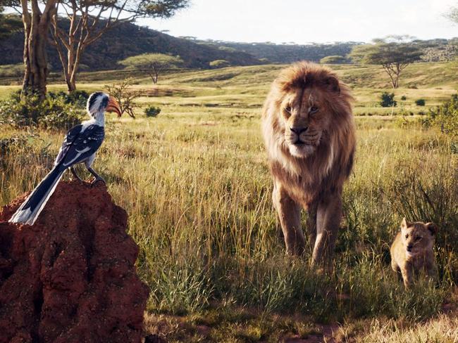 A scene from The Lion King. Picture: Walt Disney/Everett Collection