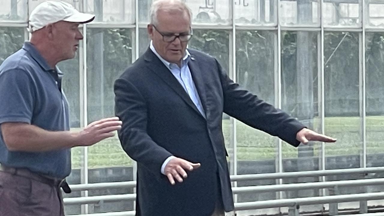 Prime Minister Scott Morrison examines seedlings at Hill’s Transplants at Don with owner Stephen Hill. Picture: Helen Kempton