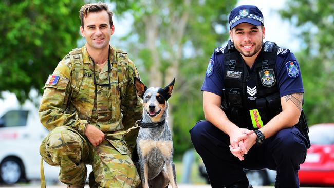 Army explosive detection dogs to be used in Townsville Commonwealth ...