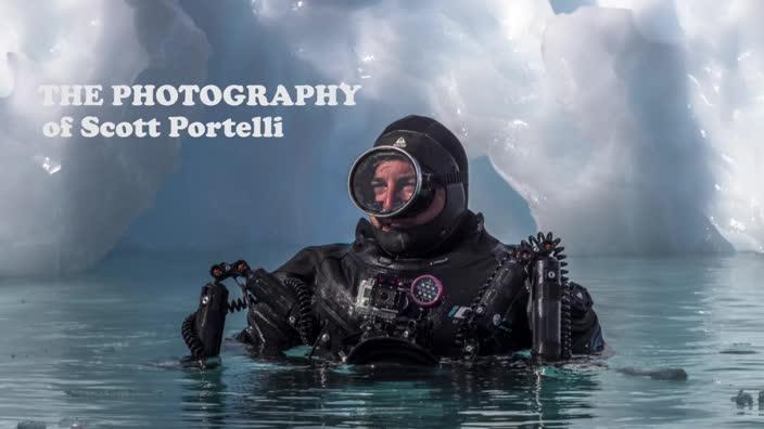 The photography of Scott Portelli