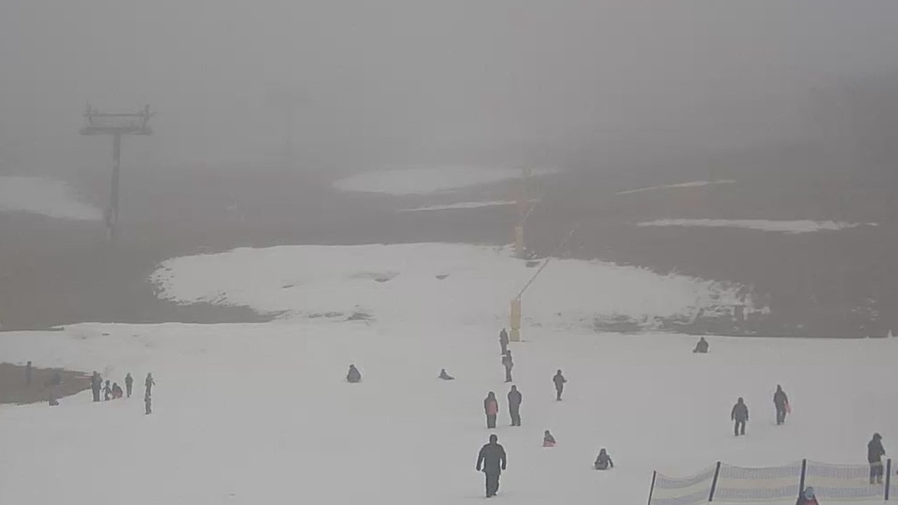 Front Valley at Perisher on Friday at about midday. Picture: Perisher Snow Cam